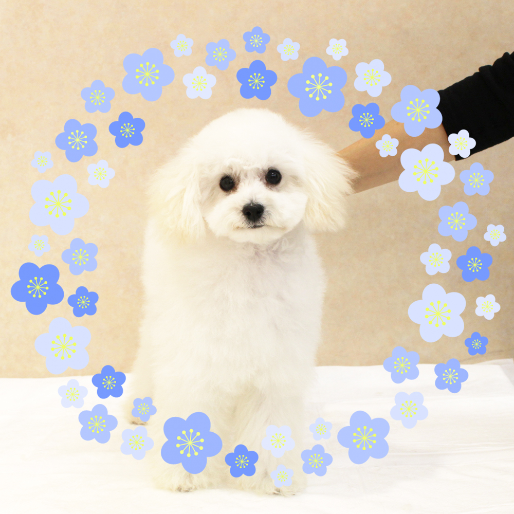 ５月と６月で１歳になりました！